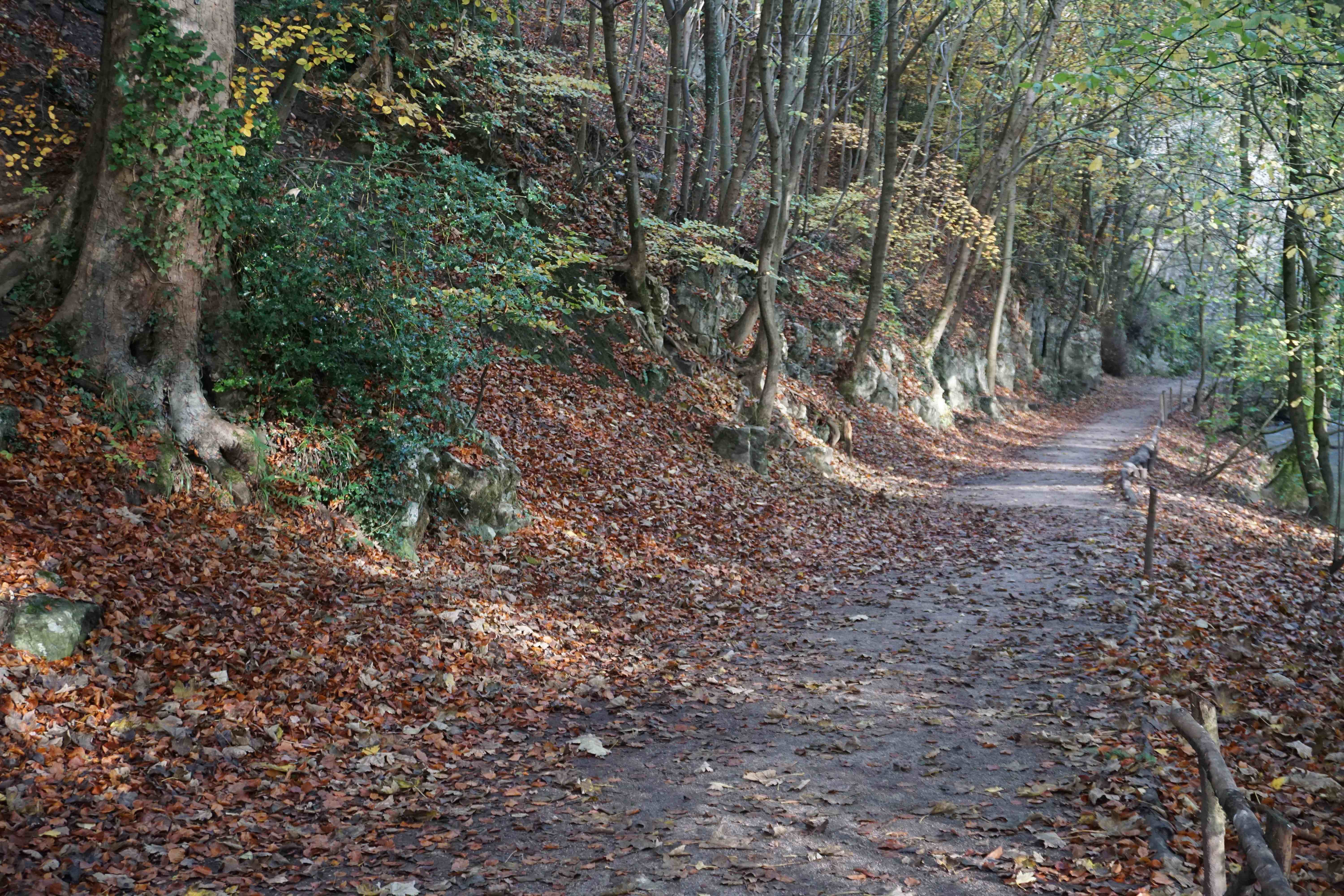 Loggerheads Country Park